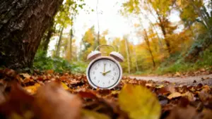 Sveglia analogica tra foglie autunnali in un bosco