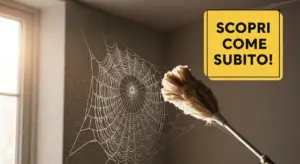 Scopa piumata rimuove una ragnatela da un angolo interno di una stanza
